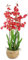 Leaf Design UK Realistic Artificial Orchid Flower Display in Pot