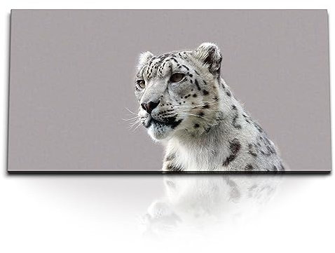 Paul Sinus Kunstdruck Bilder 120x60cm Schneeleopard Raubkatze Tierfotografie Grau