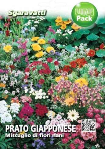 SEMI PRATO GIAPPONESE FIORI GIARDINO AIUOLE VASO TERRAZZO COLORI SEEDS SEMILLAS