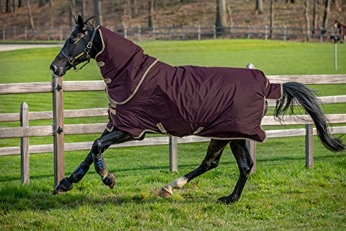 Horseware Amigo Hero Ripstop Plus 100g Weichen Teppich 130cm Fig/Navy & Tan