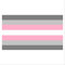 Flagge Flaggen 90x150 cm Demigirl Demi Girl Flagge