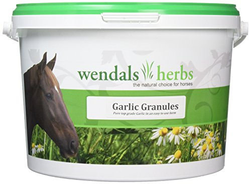 Wendals Garlic Granules - 2.5kg