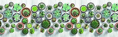 HomeLife Tappeto Cucina Antiscivolo Lavabile Made in Italy [Cm 58X190] | Passatoia Moderna in Ciniglia | Tappeto Runner Lungo Colorato con Stampa digitale con Piante di Cactus [Cm 58X190]