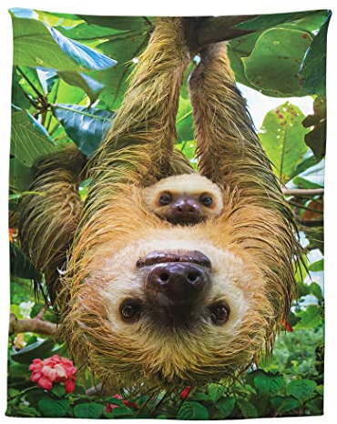 Zomer Kuscheldecke 150x200 cm Gemusterte Decke Weiche Warme Decke als Wohndecke Schlafdecke Tagesdecke oder Sofadecke mit Faultier