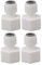 Qcwwy Bierfass-Spender-Adapter, Genaue und Stabile Verbindung, kein Auslaufen, Biermaschinen-Spender-Adapter, Feine Verarbeitung, Bier-Maker-Adapter für Bierfässer (5/16)