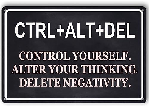 Ctrl Alt Del inspirierendes Retro Vintage Metallschild S Control Yourself Motivierende Wanddekoration Metall Hängeschild für Zuhause Wohnzimmer Bar Garage Cafe Home Decor 14 x 20 cm