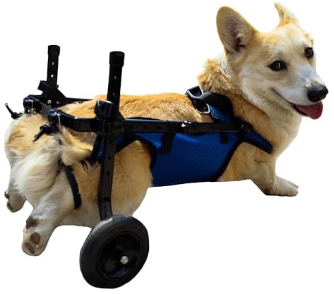 KAJILE Zweirädrige Klappbare Hunde-Rollstühle,Hinterbein-Rollstuhl für Kleine Haustiere,Verstellbarer Hunderollstuhl für Hinterbeine,Blau,M