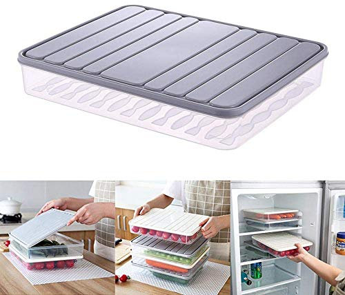 Frischhaltedosen, 29,2 x 21,6 x 4,1 cm, Gemüse-Organizer mit Deckel, transparenter Kühlschrank, hält Lebensmittel frisch und BPA-frei 1 x Large grau