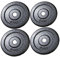 Lisaro Hantelscheiben Set, 20kg | 4 x 5kg Gewichtsscheibe | Bohrung Ø 30/31 mm | Profi Gusseisen Scheiben, Fitness Scheiben, Gewichte für Hantel, Langhantel