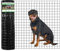 GILPWA Wire Fence, 36 in(H) X 25 ft(L) PVC Coated Welded Wire Fencing 2 X 2 16GA Garden Border Vinyl Metal Chicken Wire Fencing Mesh Roll for Yard Vegetable Plant Protection Poultry Netting Black