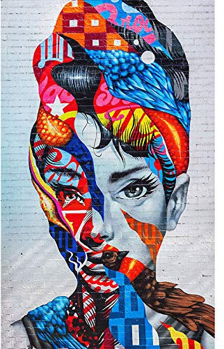 Orlco Art Graffiti Künstlerleinwand Gemälde Einstein Kunst Druck Straßenkunst Urbane Malerei Kunst Farbenfroh, canvas, Hepburn, 40 X 28 (100cm X 70cm) With the Frame
