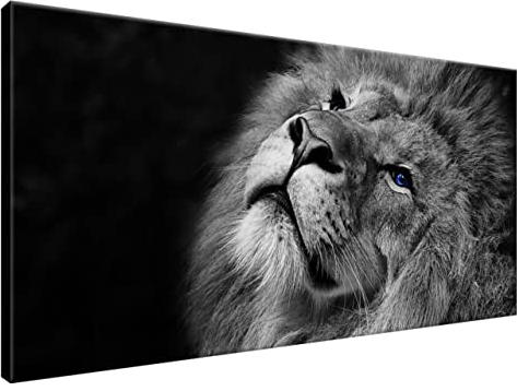 Estika Leinwand bilder - Schwarz-weißer Löwe, Blau Augen - 115x55 cm, 1 teilige kunstdruck - Wandbilder wohnzimmer, schlafzimmer, Moderne wanddeko, Bild auf leinwand - Tiere bilder - 3123A_1AE