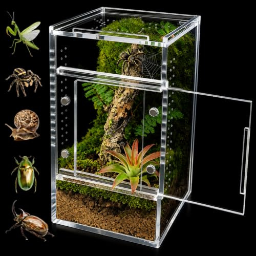 GTSEEMUU Jumping Spider Enclosure, 8 x 8 x 15 cm Acrylic Terrarium for Tarantula, Snail, Praying Mantis, Frog, and Small Reptiles (No Installation)