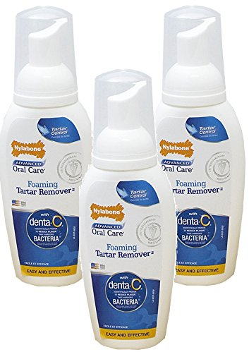 Nylabone (3 Pack) Advanced Oral Care Foaming Tartar Remover | Dog Dental Hygiene