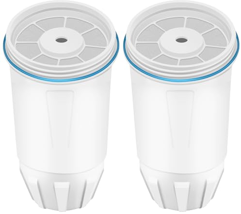 Water Filter Replacement Fits for ZERO Pitchers and Dispensers ZR-001 ZR-017 ZR-004 ZP-006 ZD-013 ZS-008, 0 TDS, 2 pack