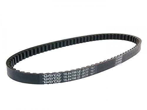 Dayco 8177 Keilriemen, L796 X B16.8