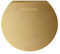 Mr Steam 103937SB AromaSteam Dampfkopf rund, Messing satiniert, Gr