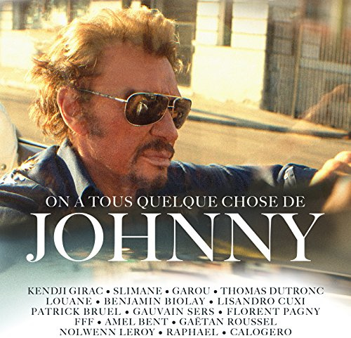 On A Tous Quelque Chose De Johnny