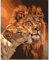 Fuumuui Peinture par Numéros Adultes et Enfants Débutants Comprend Pinceaux et Peintures Acryliques 40 x 50 cm - Animaux, Lions