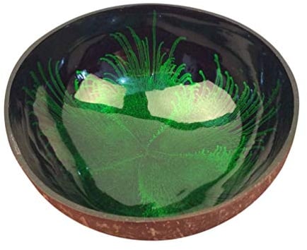Cabilock Natural Coconut Bowl, Salad Bowl, Decorative Bowl, Shell Bowls Key Bowl for Entryway Table Candy Container Nuts Holder Bowl for Decoration(Green)