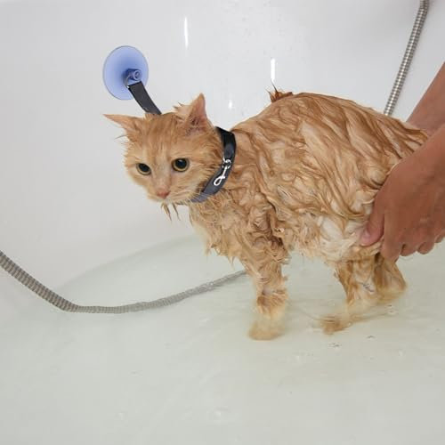 Haloppe Pettorina da bagno per gatti, regolabile, con ventosa e corda fissa, per toelettatura e doccia, guinzaglio per gatti e cani, colore nero