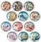 XoeLLe 12 Stück Muscheln Magnete Kühlschrankmagnete, Magnete Kühlschrank, Magnete Whiteboard, Lustige Magnete, Magnete Für Glasmagnettafel, Kühlschrank, Whiteboard, Metallplättchen, Magnettafel (30mm)
