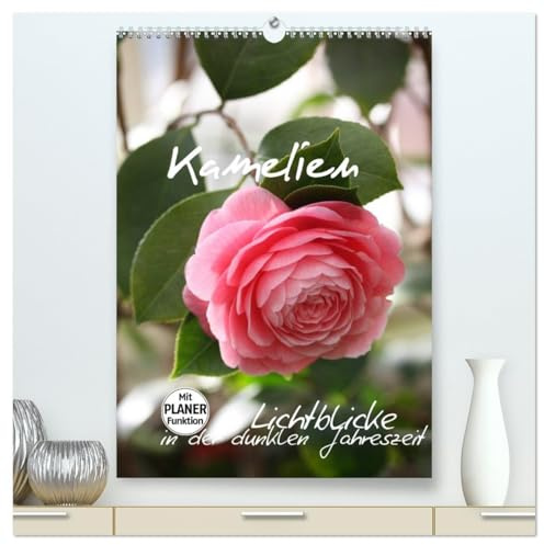 Kamelien Lichtblicke in der dunklen Jahreszeit (hochwertiger Premium Wandkalender 2026 DIN A2 hoch), Kunstdruck in Hochglanz: Die Blütenpracht der Kamelien (CALVENDO Natur)