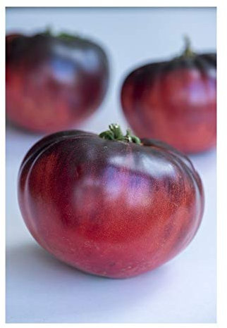 PREMIER SEEDS DIRECT Tomato - Indigo - Blue Beauty - 10 Finest Seeds