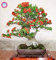 Vista 50 PZ Semi Pyracantha Fortuneana (firethorn) pyracantha pianta in vaso semi di frutta bio semi di albero per la casa giardino semina