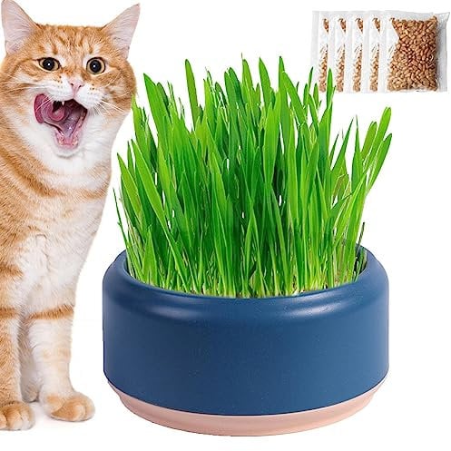 Tedious Cat Grass Hydroponics Planter | Cat Grass Pot for Indoor Cats | Cat Grass Growing Plant Pots | Soil Cat Snacks Hydroponics Growing Bowl Trays Pet Supplies for Kitten