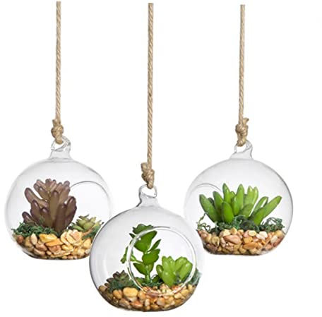 Alipis 3 Pièces Terrarium Végétal Suspendu Support De Bougie Chauffe-Plat Suspendu Bonbons Récipient Transparent Verre Ronde Planteur Un Verre Plantes Aériennes Vase Pendaison Petit Thé