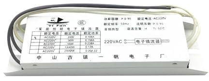 BPBZUTUMDZ Ballasts électroniques dédiés au Tube 2G11 H, 24W 36W 40W 55W, redresseur de Lampe Fluorescente AC220V, 1 Sortie(18-24W Universal)