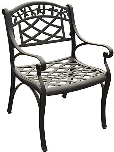 Crosley Furniture Sedona 2-Piece Outdoor Chair Set, Cast Aluminum Patio Chairs for Dining, Porch, Deck, Black