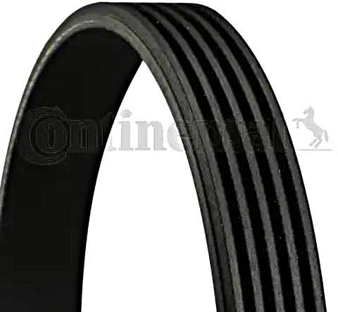 CONTINENTAL CTAM Keilrippenriemen