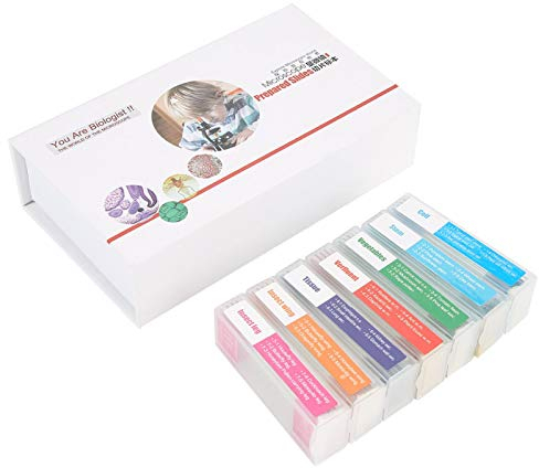 Mikroskop-Klingen-Set, vorbereitet mit Proben und transparenten Glasklingen, Verschiedene Proben, für den Unterricht der biologischen Grundwissenschaften, 35 Stück