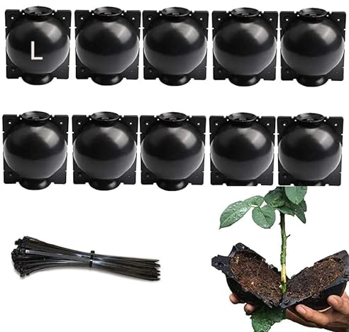 Lot de 12 boîtes de culture de racines de plantes, dispositif d'enracinement réutilisable avec 50 attaches de câble, dispositif d'enracinement de pot pour couper les semis (taille L)