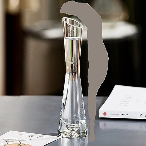 Vase à fleurs en verre transparent de 20 cm de hauteur, bouteille d'eau de luxe, vase créatif pour la maison, le bureau, la décoration de mariage