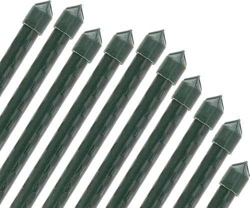 Suinga Lot de 50 Tuteur en Bambou plastifié 150 cm, 12-14 mm, Tubes en Bambou pour Plantes et Arbres, Baguettes de Bambou, Canne de Bambou