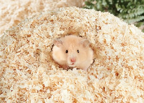 Fuwok Sawdust Hamsters, Small Animal Sawdust, Rabbit Wood Shavings,Hamster Bedding - Shavings Pet Supplies Bedding For Hamster Chinchillas Reptile Chinchilla Small Animal etc(950g)