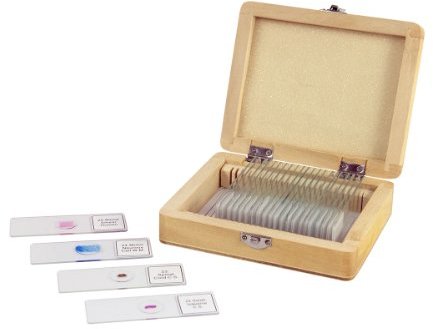Celestron 44410 Prepared Microscope Slide Box, 25 Piece Set in Wooden Case, Light Brown
