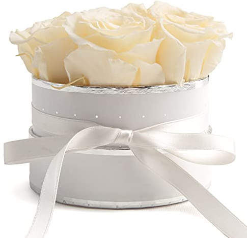 Rosenbox weiß rund Infinity Rosen Beige - Blumenbox in Weiß 4 konservierte Rosen haltbar 3 Jahre - Geschenke für Frauen und Geschenke für Mama (Small, Weiß-Beige)