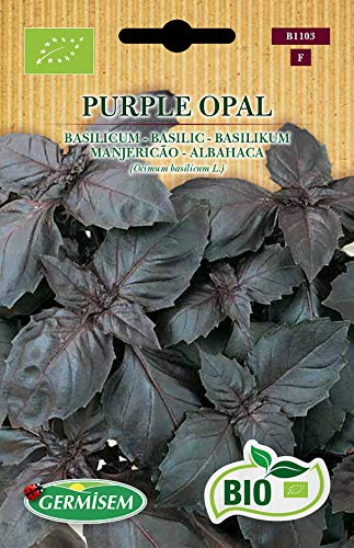 Germisem Basilikum PURPLE OPAL, ECBIO1103
