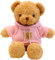 LGWJHCY Orsacchiotto Peluche 30 cm Con Cappuccio e Stampa Zampa - Simpatico Regalo (Rosa)