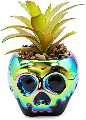 Disney Villains Poison Mini Pot de Fleurs en céramique avec Plantes Grasses artificielles