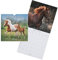 Draeger Paris - Grand calendrier mural Chevaux - 2023