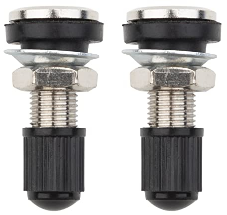 FanPaYY 2 stücke Reifenventil Ventile Felgenventile mit Staubkappen, Tubeless Ventil Metall Ventilschäfte für Auto Motorrad Reifen