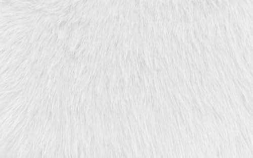 Zottelstoff ZOTTEL 3,5cm Flor - 0,5m Schritte - Öko-Tex Standard - Breite 150 cm - 530g/mq - Langhaarfell Flokati Fellstoff Meterware Dekostoff (Weiß)