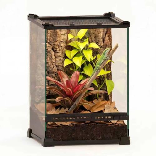 NEPTONION Mini terrarium en verre pour reptiles 25,4 x 25,4 x 35,6 cm avec cadre en alliage d'aluminium résistant à la chaleur, portes battantes simples pour éviter les bourrages causés par le sable