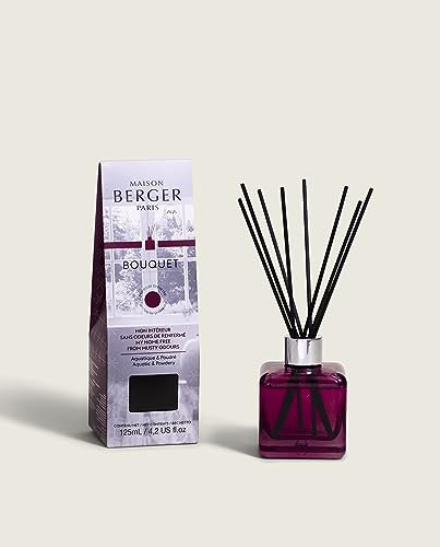 MAISON BERGER BOUQUET CUBE ANTI-ODORI CON BASTONCINI 125 ML - RENFERME PROFUMO CASA INTERNI