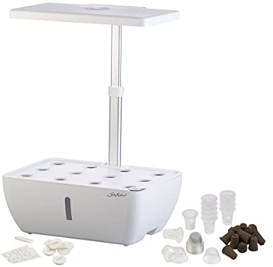 Carlo Milano Grow Lampe: Smartes WLAN-Anzuchtsystem für 12 Pflanzen, Wachstums-LEDs, App, 7 l (Smart Garden, Anzucht Box, Indoor Garten hydropon)